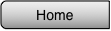 home button