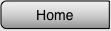 home button